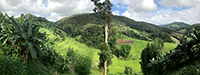 Sop Moei Rice Paddies, Mae Hong Son, Thailand