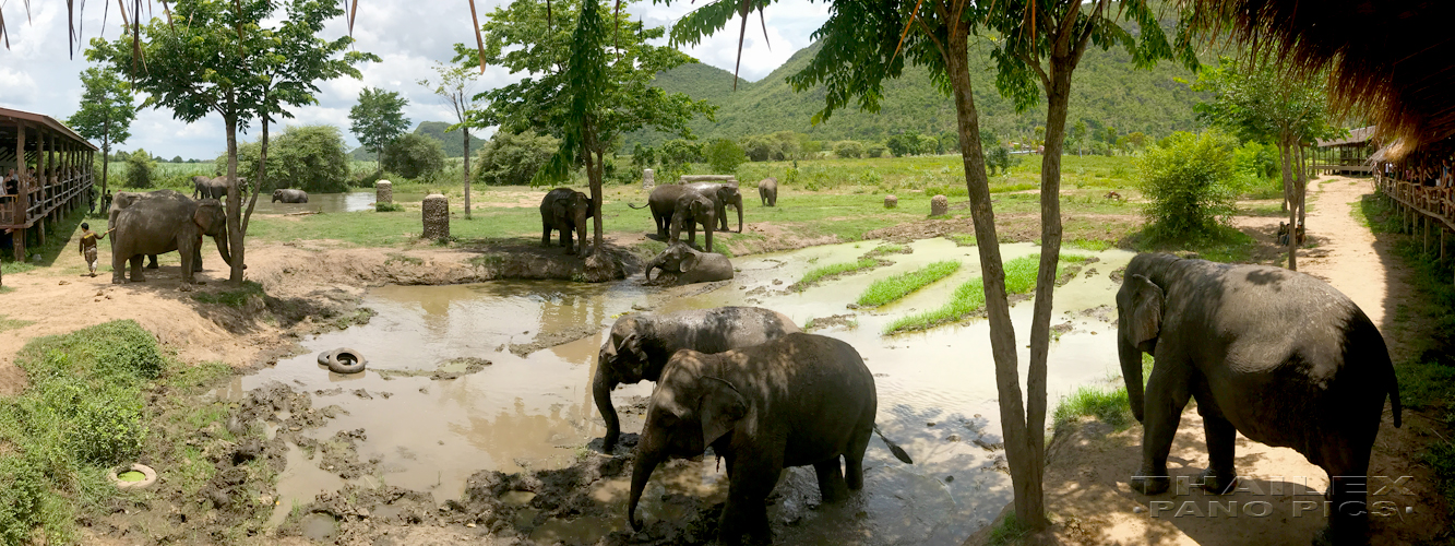 Elephant Camp, Kanchanaburi, Thailand