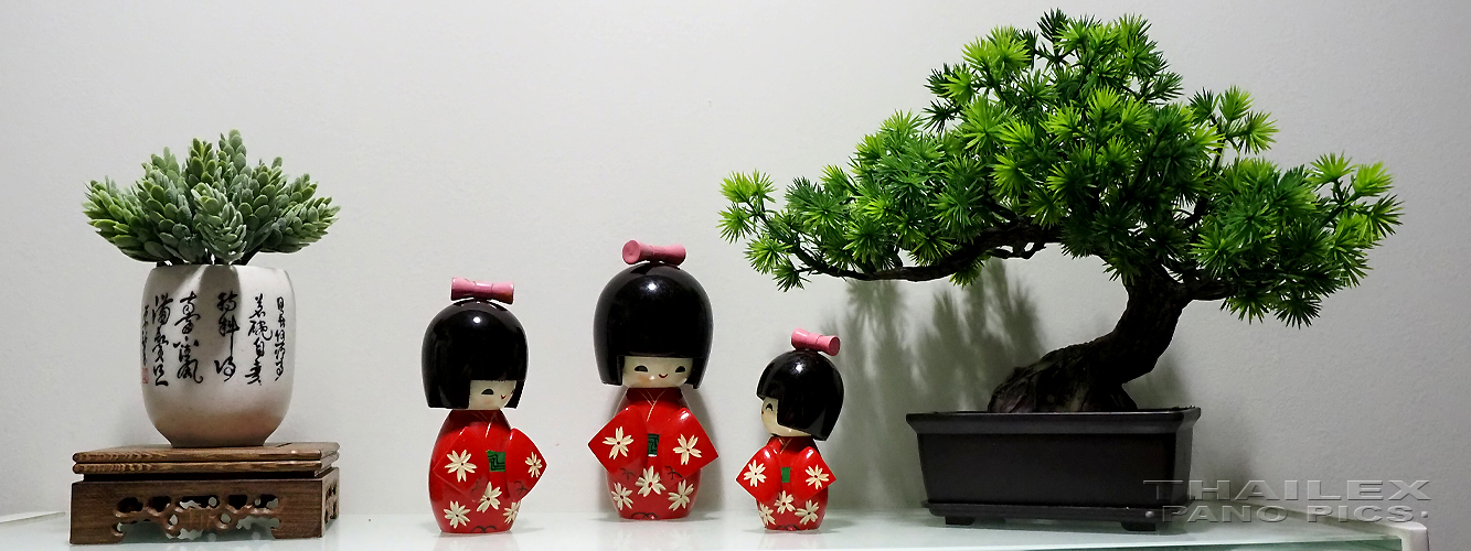 Decorative Bonsai Display, Bangkok, Thailand