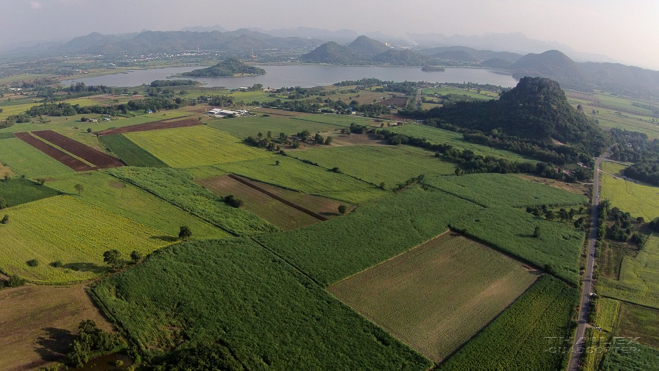 Sunflower Fields & Sab Lek Reservoir (觷ҹѹҧѺ)