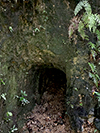 Bach Ma VC Tunnels