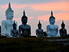 Buddha Statues Park