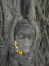 Buddha head Wat Mahathat