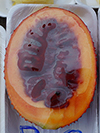 Gac fruits (inside)