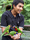 Jurong Bird Park