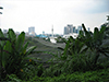 KL Bird Park (Taman Burung)