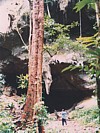 Khao Sok NP cave and waterfall