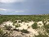 Le Thuy Sand Dunes