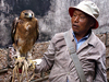 Lijiang birds of prey-pets