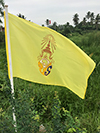 Personal Flag of King Maha Vajiralongkorn