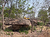 Phu Mahk Yahng Forest Monastery