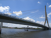 Rama VIII Bridge