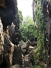 Stone Forest, China