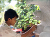 stone carving (masonry)