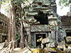 Ta Prohm