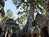 Ta Prohm