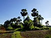 Tawagu Pagoda