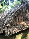 nipa palm thatched roofs