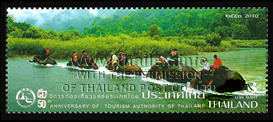 Elephants crossing the Pai River in Mae Hong Son