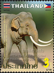 Asian Elephant