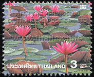 Amazing Thailand (1st Series) - Lake of Lilies