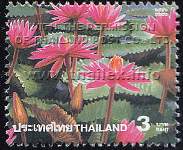 Amazing Thailand (1st Series) - Lake of Lilies