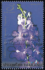 Vascostylis Prapawan Blue