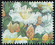 Amazing Thailand (2nd Series) - White Roses