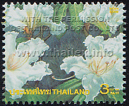 Amazing Thailand (2nd Series) - White Roses