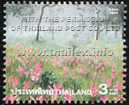 Amazing Thailand (3rd Series) - Siam Tulips