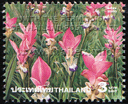 Amazing Thailand (3rd Series) - Siam Tulips