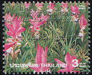 Amazing Thailand (3rd Series) - Siam Tulips