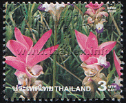 Amazing Thailand (3rd Series) - Siam Tulips