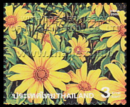 Amazing Thailand (4th Series) - Sunflower Field