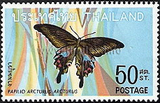 Butterflies (1st Series)