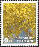 Yellow Cassia flowers