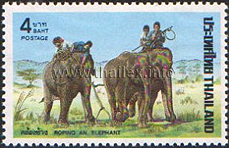 Elephant Round-up