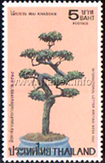 International Letter Writing Week 1981 - Dwarfed Bonsai Trees