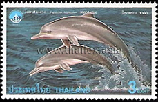 Bottlenose Dolphins