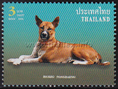 Khun Thongdaeng - The Royal Dog