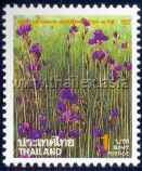 Utricularia delphinioides