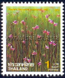 New Year 1995 - Biennial Flowers