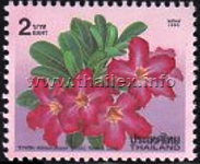 Desert Rose (Adenium obesum)