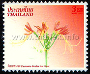 New Year 2004 Flower Postage Stamps