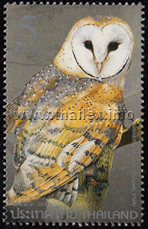 Nocturnal Birds - Owls