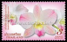 Dendrobium Pink Nagarindra