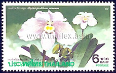 4th Asia-Pacific Orchid Conference