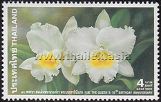 Cattleya Queen Sirikit Orchid