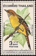 Chestnut-tailed Minla (Minla strigula)