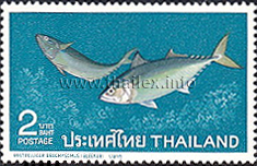 Thai Fish (1st Series)